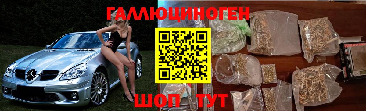 Сосновоборск  сколько стоит  Псилоцибиновые грибы MAGIC MUSHROOMS  Вход с VPN  Псилоцибиновые грибы прущие грибы 